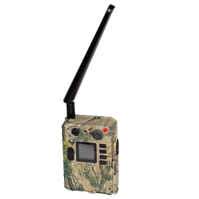 BG710M