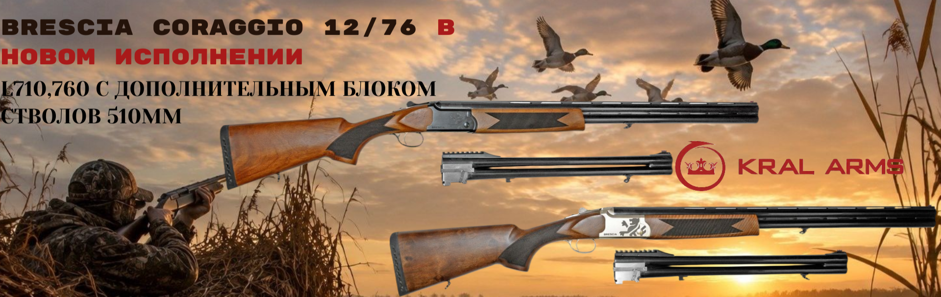 Brescia Coraggio 12/76 в новом исполнении