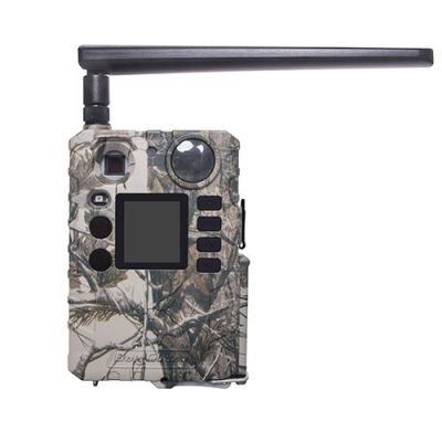 Камера Scout Guard BG310-M 18mHD camo
