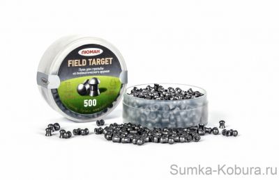 field_target_500_055_01.jpg.970