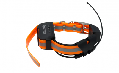 Дополнительный GPS - ошейник Artelv Collar