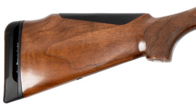 Benelli Argo-E 308 PRO