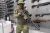 Kral Puncher Breaker 3 к.5.5мм Орех Kral Puncher Breaker 3 к.5.5мм Орех