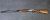 Fausti VOLO SL к.12х76 №В55809 Fausti VOLO SL к.12х76 №В55809