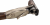 Benelli 828 U Silver 12/76 